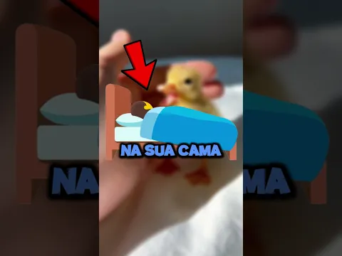 É POR ISSO QUE NÃO SE DEVE ANDAR DESCALÇO NA PRAIA! 🌊😱 #youtubeshorts #shortsvideo #youtube