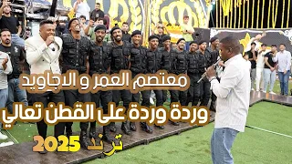 مجوز وردة وردة … على القطن تعالي ؛ احدث ترند 2025 ؛ معتصم العمر و فرقة الاجاويد