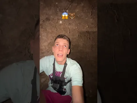 Он оказался в берлоге медведя... 😱