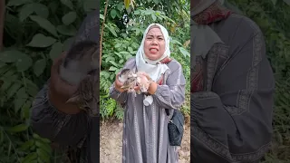 KASIHAN MAU JALAN PULANG KETEMU KUCING DIDALAM KOTAK !!!