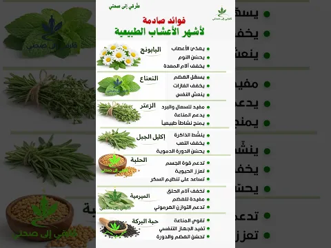 فوائد أشهر الأعشاب