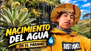 Rescatando un nacimiento de agua olvidado, ¡Cuidemos lo que nos da vida! 