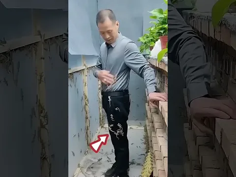 Karena masuk tanpa izin ratusan cicak menempel di badannya!