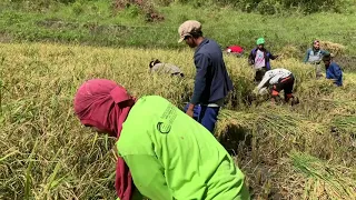 life of a farmer