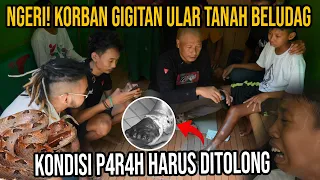 NG3R1 KORBAN GIGITAN ULAR TANAH BELUDAG!! KONDISI P$R$h HARUS DI TOLONG!! #AudreyA #KINGOFTHEJUNGLE