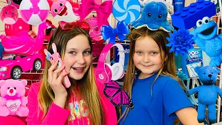 NEW Pink VS Blue Riddle Challenge with Sisters Play Toys