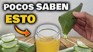 Piel PERFECTA sin MANCHAS ni ARRUGAS | Cómo hacer ACEITE de ALOE VERA o SABILA | Gel de Aloe Vera