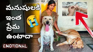 6 Hours Amma House లో లేదని ..😭 | Pakka Emotional Vs Entertainment | @upendragani