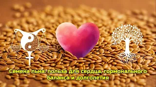 Семена льна: польза для сердца, гормонального баланса и долголетия