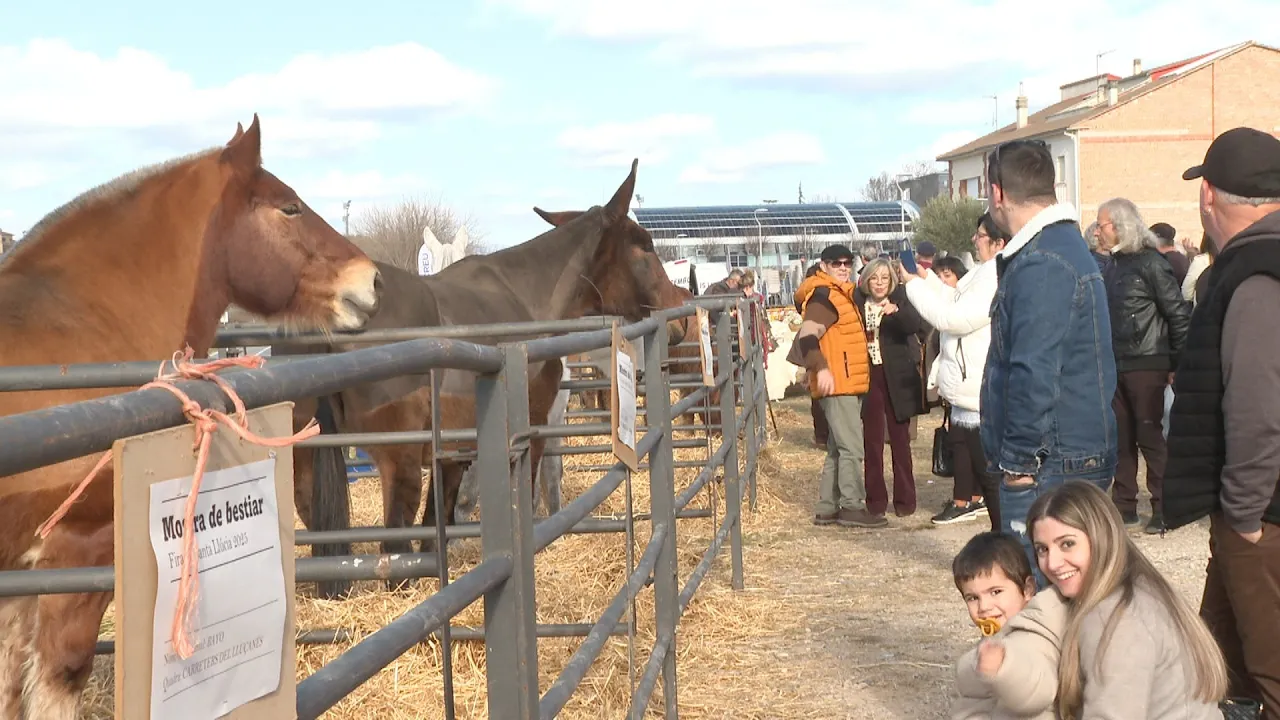 Concorreguda Fira de Santa Llúcia a Prats de Lluçanès