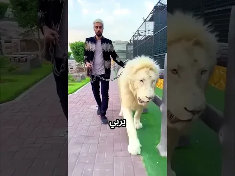 #محظور_من_الاكسبلور   #اكسبلور #اكسبلور #viral