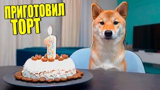 ВПЕРВЫЕ ПРИГОТОВИЛ ТОРТ МОЕЙ СОБАКЕ!