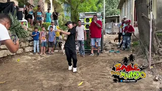 Los tres mejores bailarines de champeta 🤪🔥