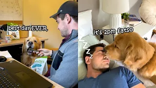 3 Things My  Golden Retriever Is A PRO At You Won't Believe