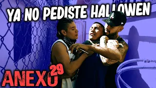 ANEXO 29 │ Christian Meza