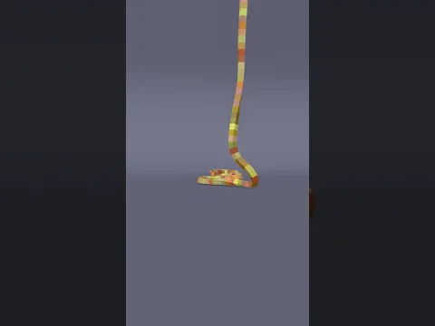 Colourful Noodle