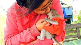Mother kiss cute baby LivLiv|Animals MT