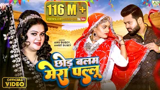 छोड़ बलम मेरा पल्लू | Anu Dubey New Song | Chhod Balam Mera Pallu | Amrit Dubey | New Hindi Song 2023