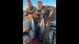 Southern Bluefin Tuna Waihau Bay, NZ
