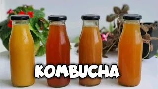 KOMBUCHA |Foodie Sha|