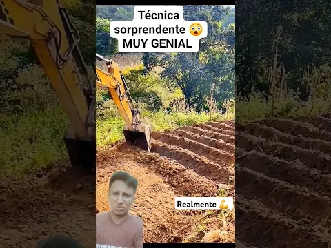 Mira como Patrón sorprendido le dio la 🤚 #shorts