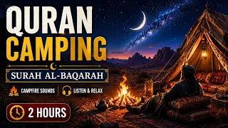Quran Camping • Get Instant Relief From Mental Fatigue and Overthinking