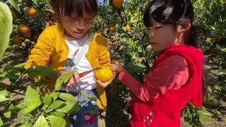 採橘子樂｜花畑園芸公園★奈華10y
