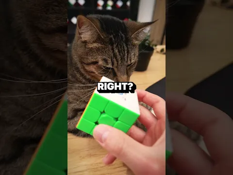 Cube Robot Can’t Solve This Scramble! 🤯