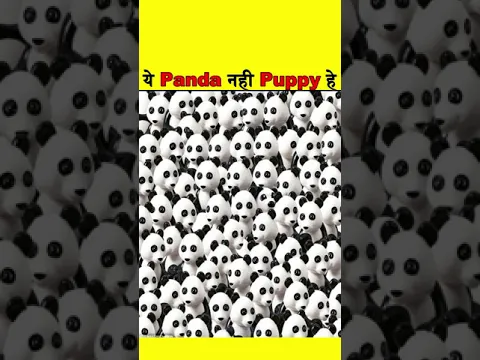 PANDA || ODD EMOJI OUT | Emoji Puzzle Brain Game | Emoji Riddle Challenge | #shorts #RiddleChallenge