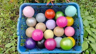 Mencari Banyak Bola Warna-warni Tersembunyi di Taman!