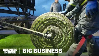 Why FIFA Spends Millions On World Cup Grass
