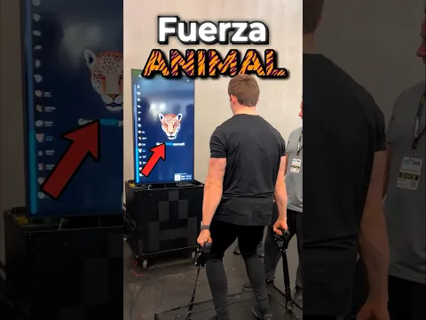 ¿De qué animal tienes la fuerza?🦁