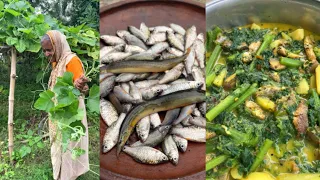 Cooking Fresh Fish Curry with Pumpkin Leaves | Traditional Village Style Recipe