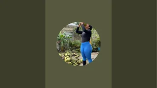 La Chica Del Coco  está en vivo