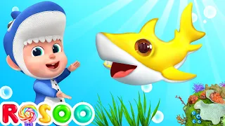 Baby Shark | Rosoo - Nursery Rhymes & Kids Songs