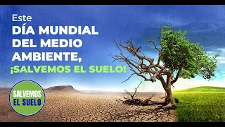 ¿Por qué el suelo se está extinguiendo y qué puedes hacer al respecto?