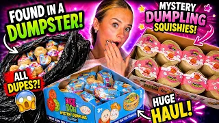 We Found VIRAL Squishies In The Trash....