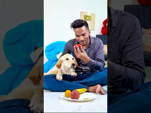 मेरे डॉगी ने ये क्यों खाया😱 #funnydogs #shorts