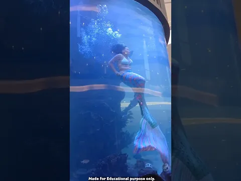 Jalpari 🐟