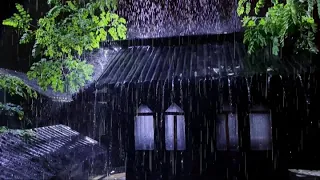 11 Hours of Rain Sounds for Sleep 🌧️ Cozy Cabin in the Forest | No Music - asmr