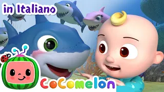 Baby Shark - Baby Squalo | CoComelon Italiano - Canzoni per Bambini