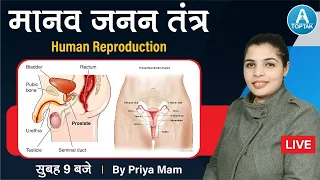 science marathon class | human reproductive system | Female Reproductive  | Science by Priya mam