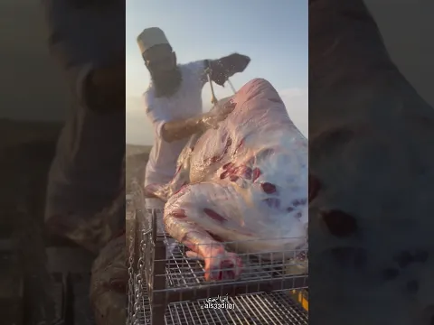 مندي حاشي كامل ،اكثر من ٥٠ شخص اكل من هذي الوليمة 😍