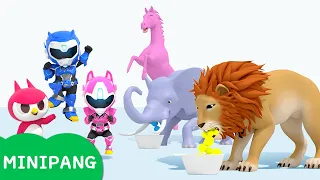 [미니팡 에스파냐] 미니특공대 | 배고픈 동물 먹이 주기 | 색깔놀이 | 에스파냐어 | 스페인어| Color play | Mini-Pang TV 3D Play