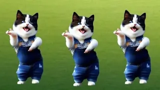 Cat videos funny dance 💃😻😂 Videos for catsv#funnycats #catlovers #dancingcat @furry-cornerz