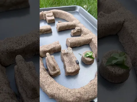 Building a Mansion for Bugs