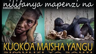 Nilifanya mapenzi na nyani kuokoa maisha yangu