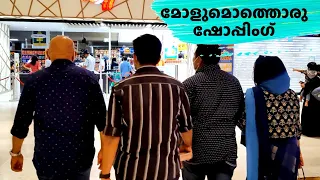 ബ്രേക്ഫാസ്റ്റും ലഞ്ചും പിന്നെ ആദ്യമായി മോളുമൊത്തൊരു ഷോപ്പിങ്ങും | A Day Vlog | Salu Kitchen