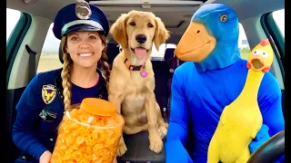 Puppy Surprises Rubber Ducky & Police With Car Ride Chase!
