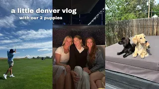 we took our dogs to denver 🐾🏔️